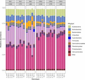 Fig 3. Phylum-level composition of peanut rhizosphere. (Paudel et al., 2023)