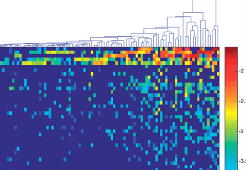 Bioinformatics Analysis