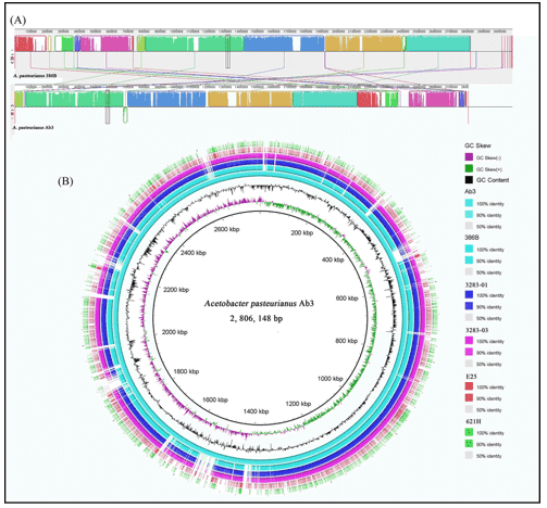 Comparative Bacterial Genome Analysis Using Next-Generation Sequence Data