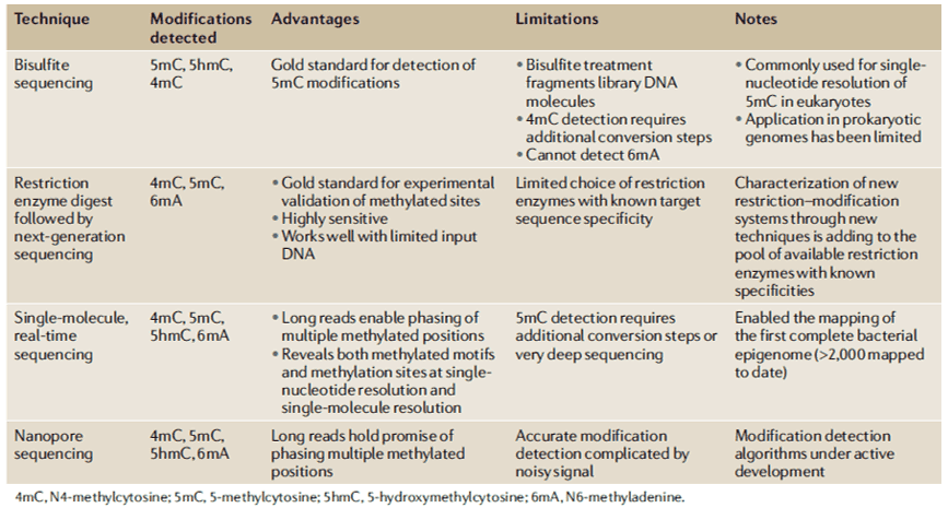 Epigenetics Sequencing for Studying Bacterial Methylation 