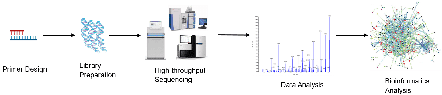 High-throughput sequencing analysis process