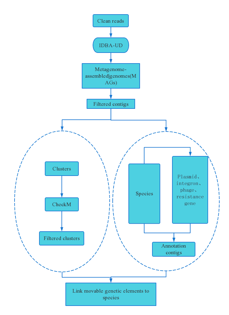 Metagenomics Hi-C /3C Service