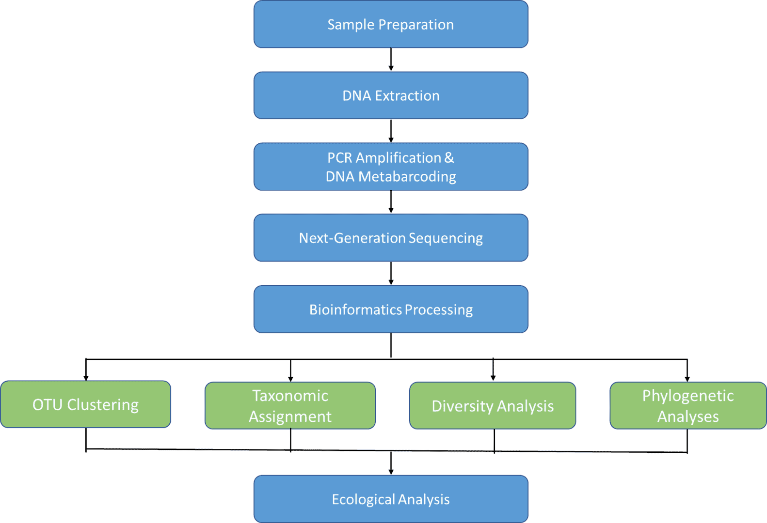 Microbial DNA Metabarcoding Workflow