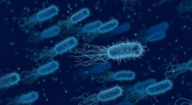 Microbial Diversity in Water