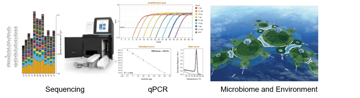 Microbial Diversity in Water