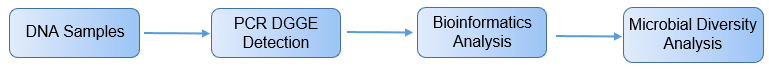 PCR-DGGE analysis process