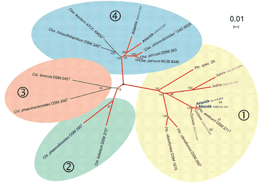 Microbial Functional Species Group: Sequencing and Bioinformatics