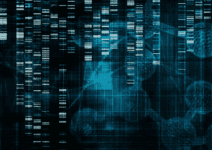 Microbial gyrB Genotyping Service