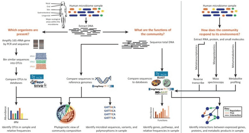 Techniques for human microbiome profiling.