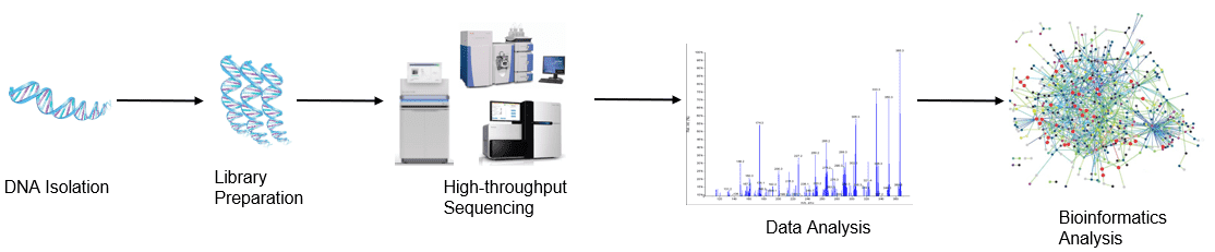 High-throughput sequencing analysis process