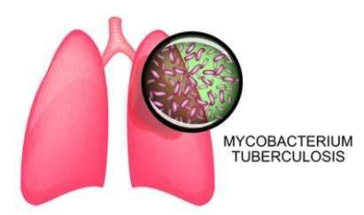 Mycobacterium tuberculosis ARGs Analysis