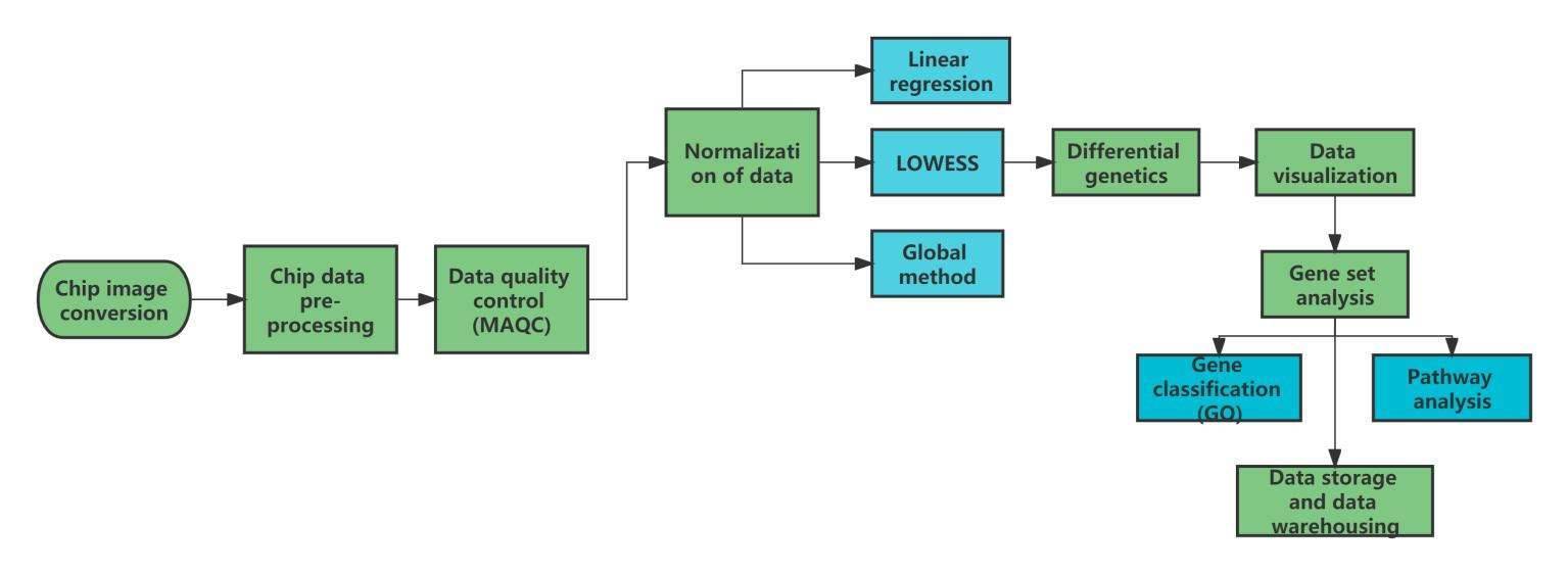 Data Analysis：Data analysis for detection of antibiotic resistance genes in Mycobacterium tuberculosis - CD Genomics.