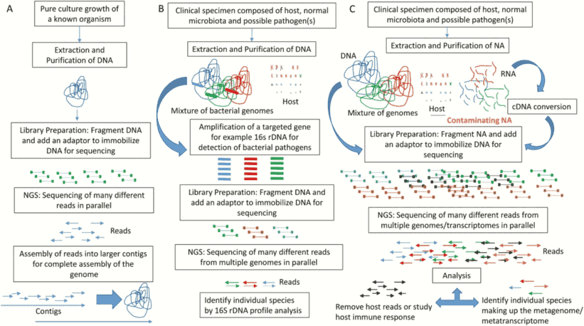 An overview of the different applications of next-generation sequencing analysis.