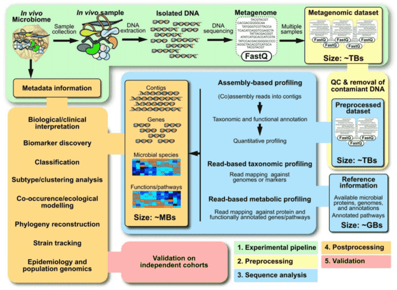 Summary of a metagenomics workflow.