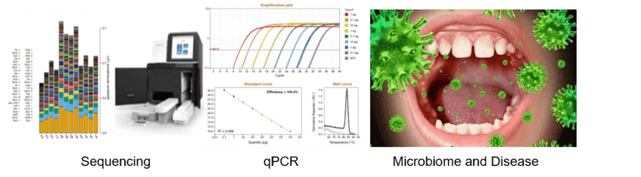 Oral Microbiome Research