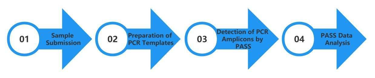 PASS-based Microbial Antibiotic Resistance Gene Analysis Workflow - CD Genomics.