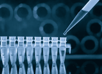 PCR-based Microbial Antibiotic Resistance Gene Analysis