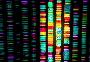 Microbial Epigenomics