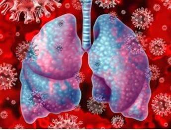 Respiratory and Lung Microbiome Research Solution