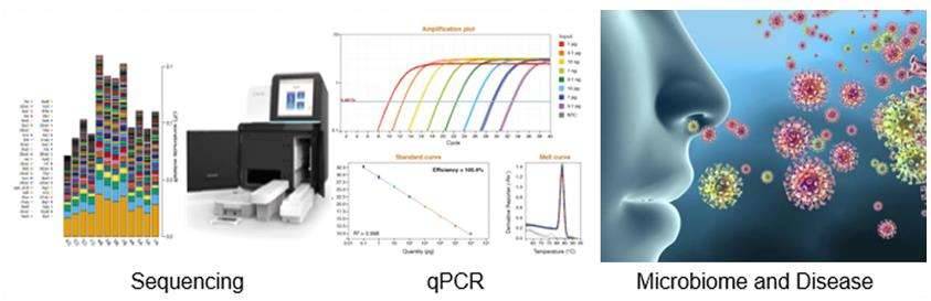 Respiratory and Lung Microbiome Research Solution