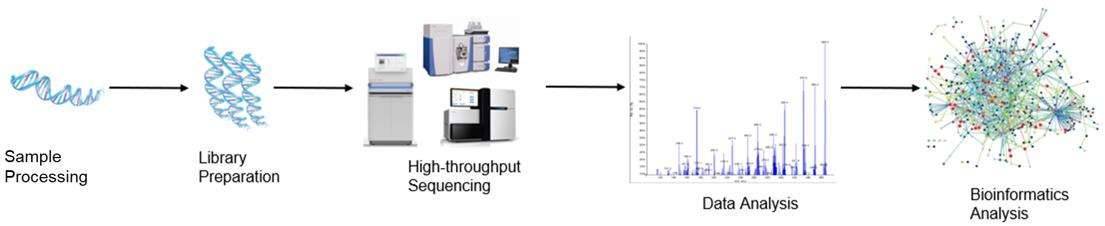 High-throughput sequencing analysis process