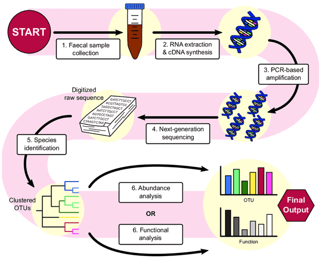 Sample Preparation Protocols for Gut Microbiome Sequencing 