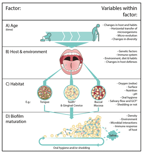 Sample Preparation Protocols for Oral Microbiome Sequencing 