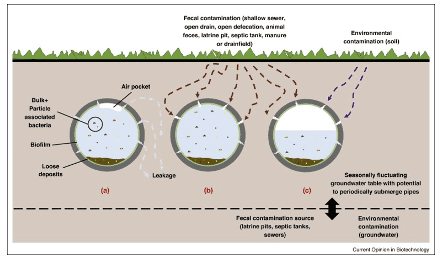 Sample Preparation Protocols for Water Microbiome Sequencing 