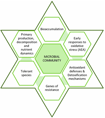 Sequencing-Based Methods for Microbial Biomarker Detection