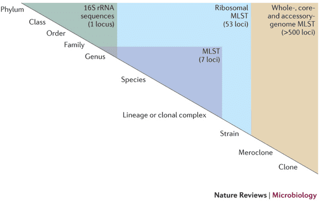 Discrimination level of different sequencing schemes