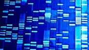 Microbial Diversity: Significance and Research Methodology