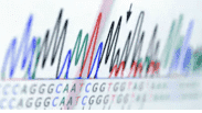 Microbial Diversity: Significance and Research Methodology