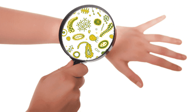 Skin Microbiome Research