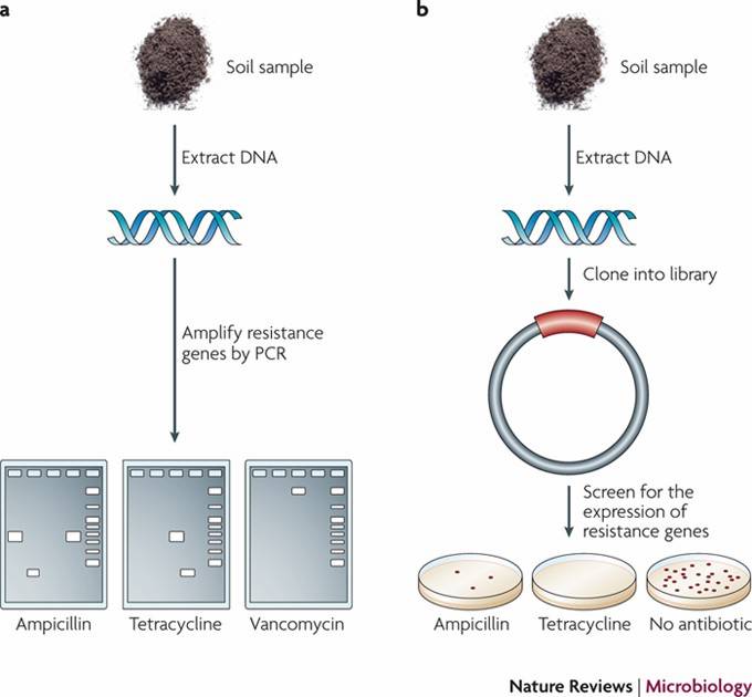 Development and Application of Antibiotic Resistance Gene Detection Methods