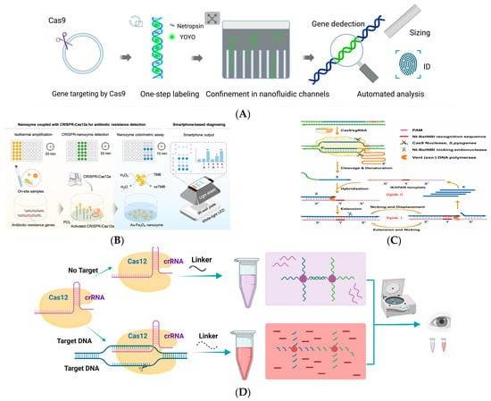 ARG Detected by CRISPR/Cas system