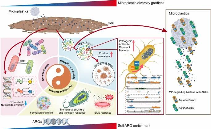 Soil microbiome changes affecting antibiotic resistance.