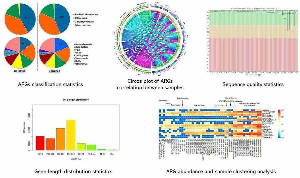 The Antibiotic Resistance Genes Screening Results Display.