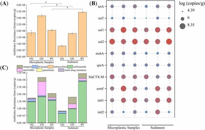 Fig 1. Distribution of ARGs across MPs in various environmental contexts of mangroves. (Sun et al., 2022)