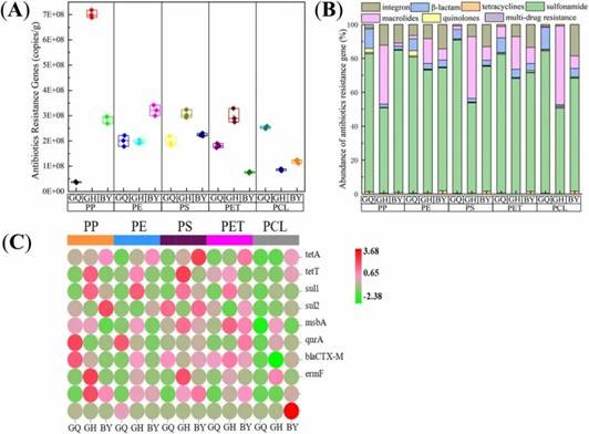 Fig 2. Characteristics of ARG distribution on the surfaces of five distinct types of MPs. (Sun et al., 2022)