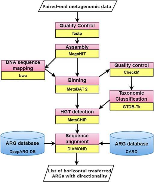 Antibiotic Resistance Genes (ARGs): Detection, Database, and Bioinformatics Tools