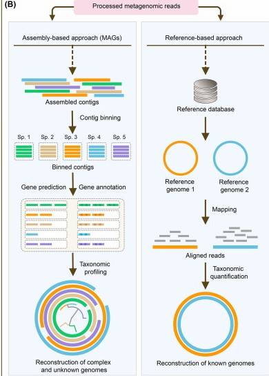 Assembly-based vs reference-based approaches on metagenomic sequencing data.