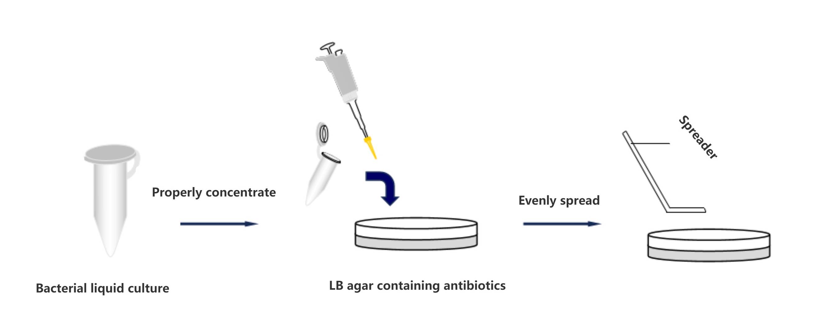 Application of Recombinant Culture Suspension