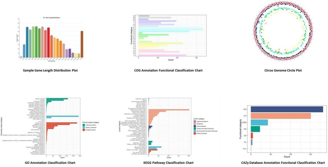 The Bacterial Whole Genome De Novo Sequencing Results Display.