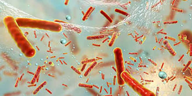 Biofilm Microorganisms Solution