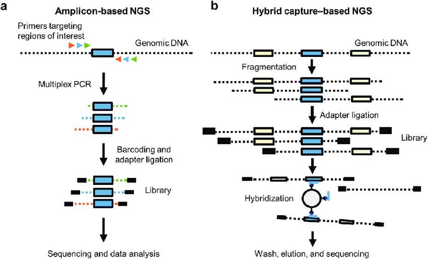 Comparison of amplicon-based vs. capture-based NGS methods.