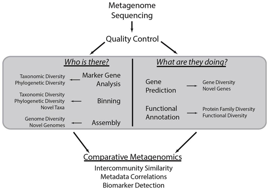 Key strategies for analyzing metagenomic data and microbial communities.