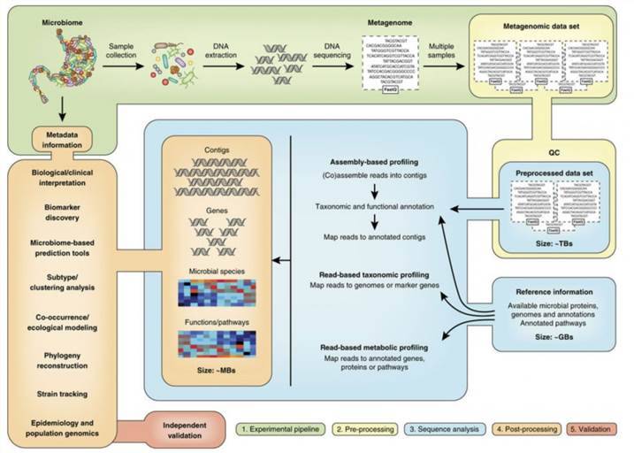 Detection of Microbial Pathogens: mNGS or tNGS