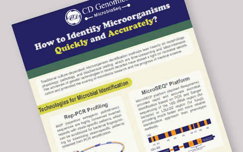 How to Identify Microorganisms Quickly and Accurately