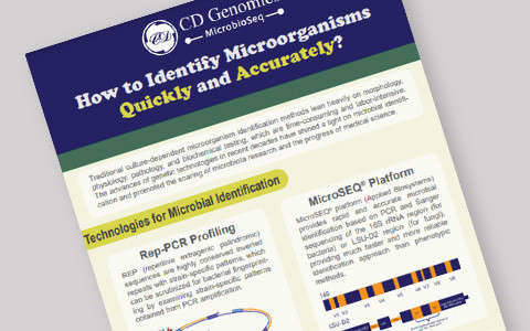 How to identify microorganisms quickly and accurately