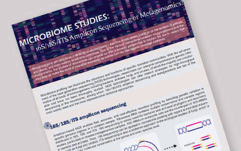 MICROBIOME STUDIES: 16S/18S/ITS Amplicon Sequencing or Metagenomics